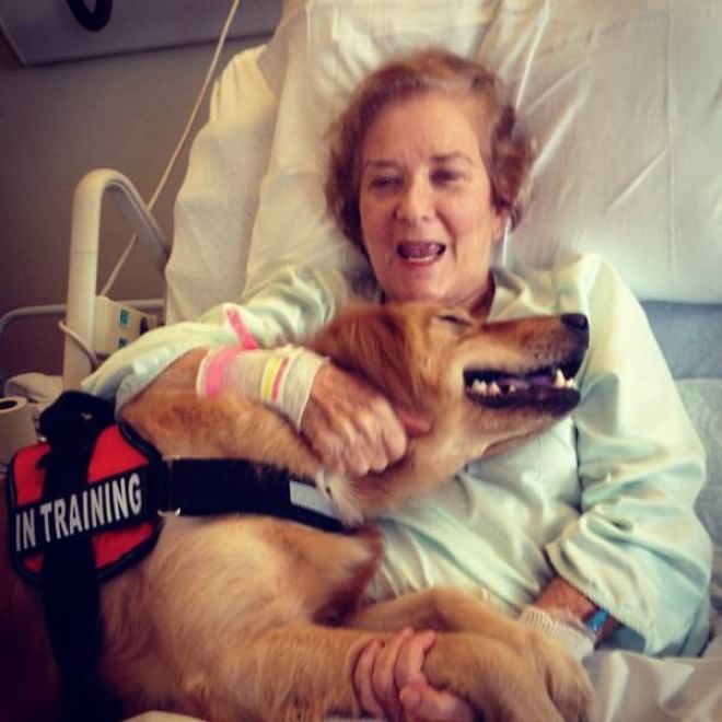 L'amore è incondizionato: il cane te lo dimostra così 