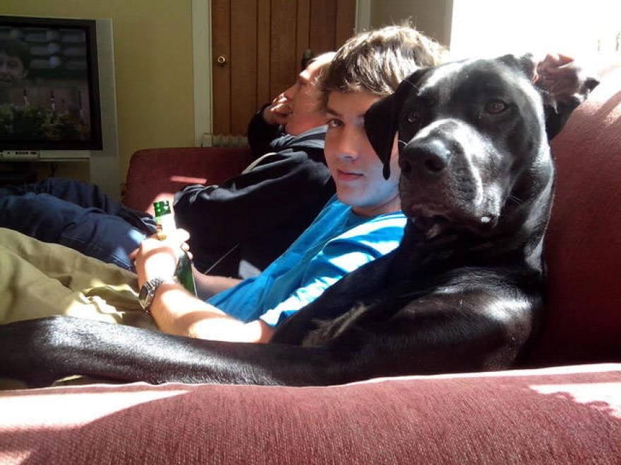 L'amore è incondizionato: il cane te lo dimostra così 