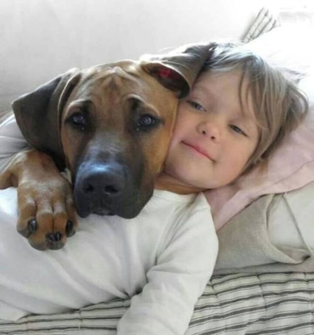 L'amore è incondizionato: il cane te lo dimostra così 