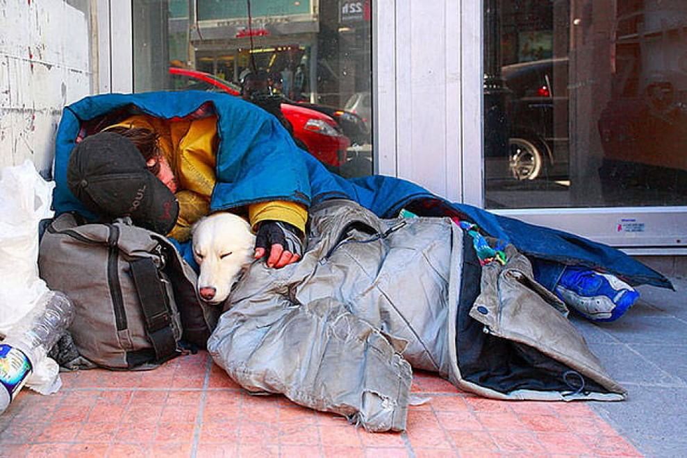 L'amore è incondizionato: il cane te lo dimostra così 