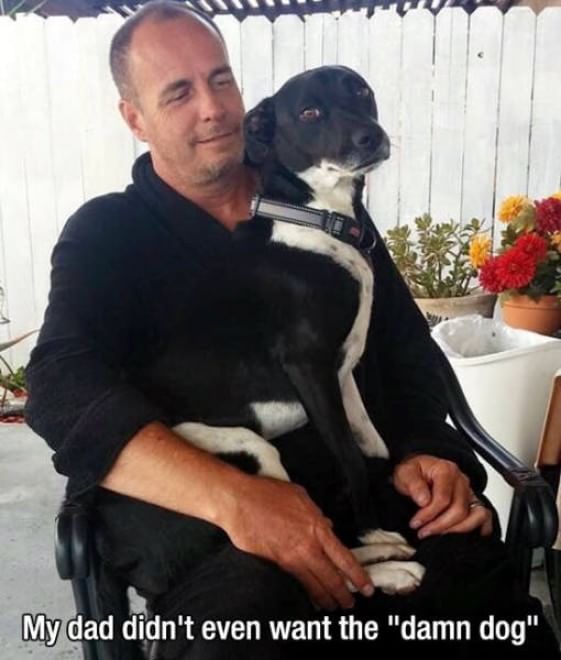 L'amore è incondizionato: il cane te lo dimostra così 