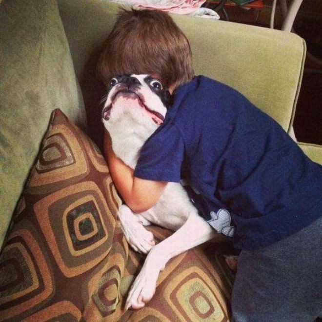 L'amore è incondizionato: il cane te lo dimostra così 