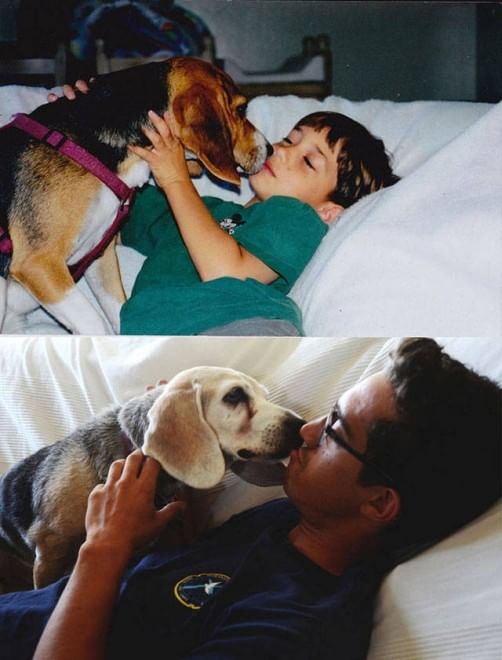 L'amore è incondizionato: il cane te lo dimostra così 