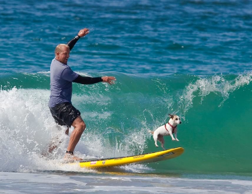 In vacanza con gli animali: le foto dei lettori / 1