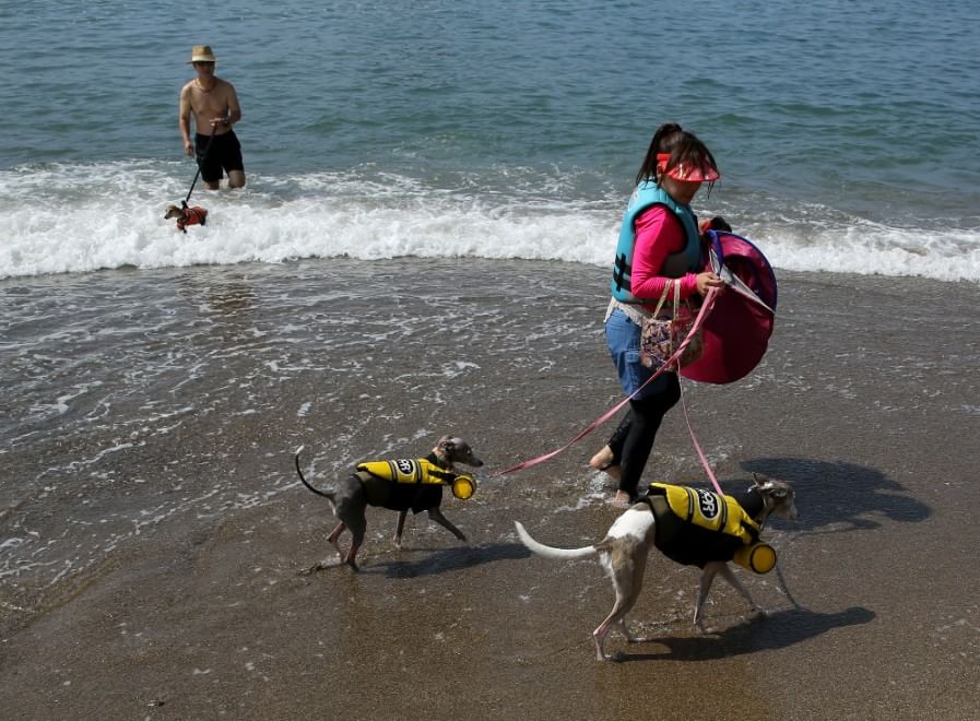 In vacanza con gli animali: le foto dei lettori / 1
