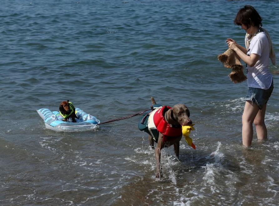 In vacanza con gli animali: le foto dei lettori / 1