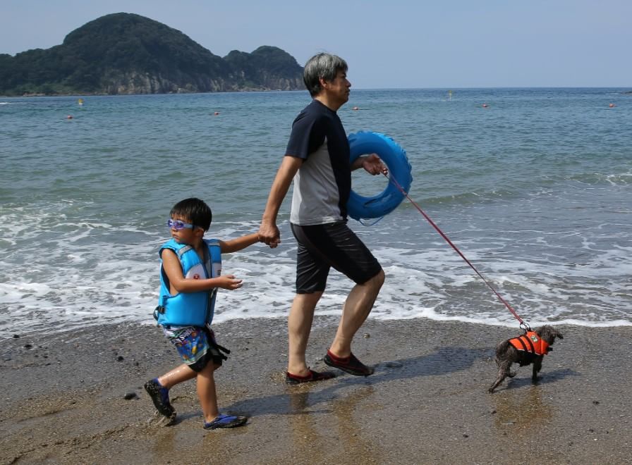 In vacanza con gli animali: le foto dei lettori / 1
