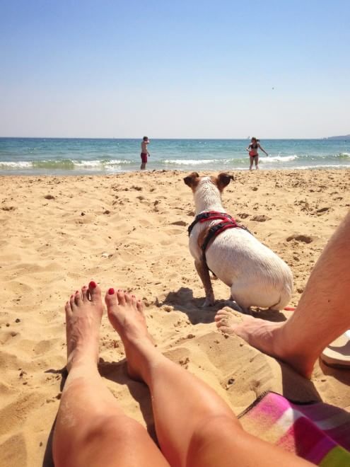In vacanza con gli animali: le foto dei lettori / 1