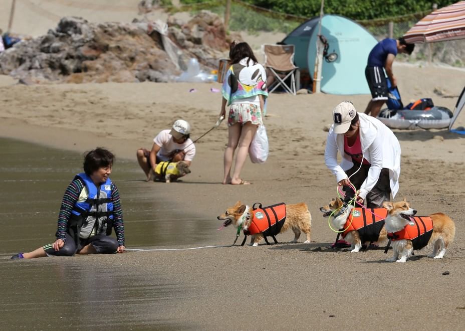 In vacanza con gli animali: le foto dei lettori / 1