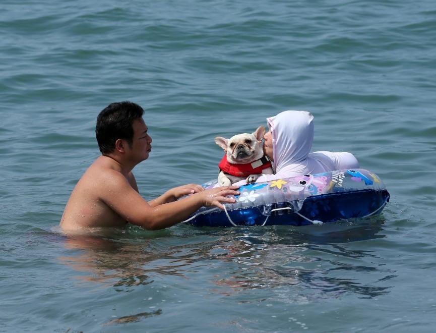 In vacanza con gli animali: le foto dei lettori / 1