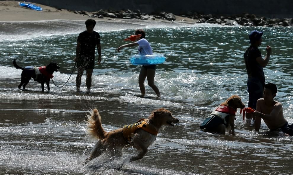 In vacanza con gli animali: le foto dei lettori / 1
