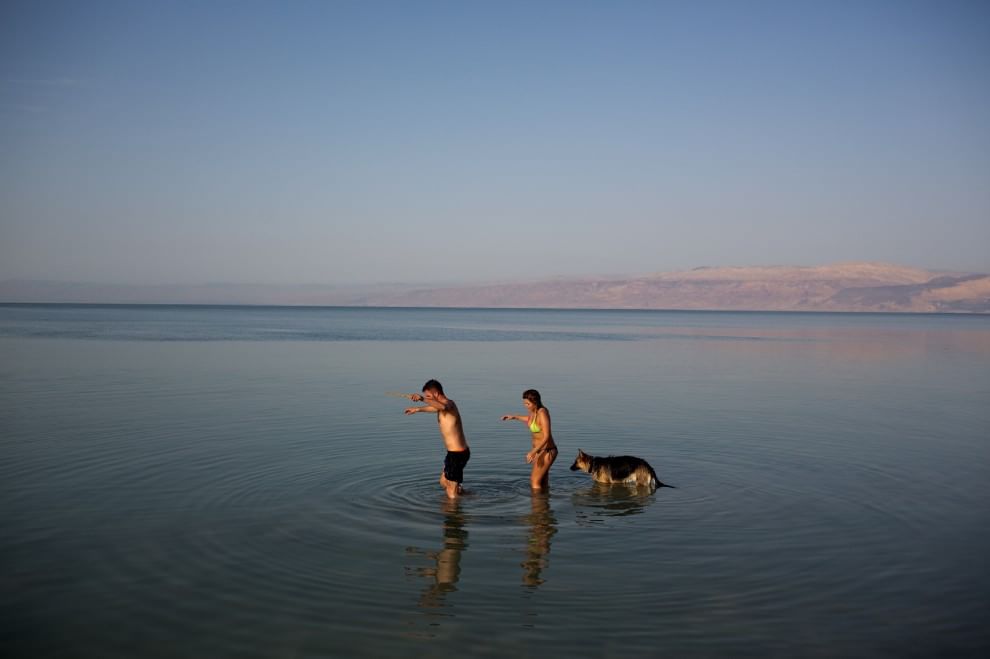 In vacanza con gli animali: le foto dei lettori / 1