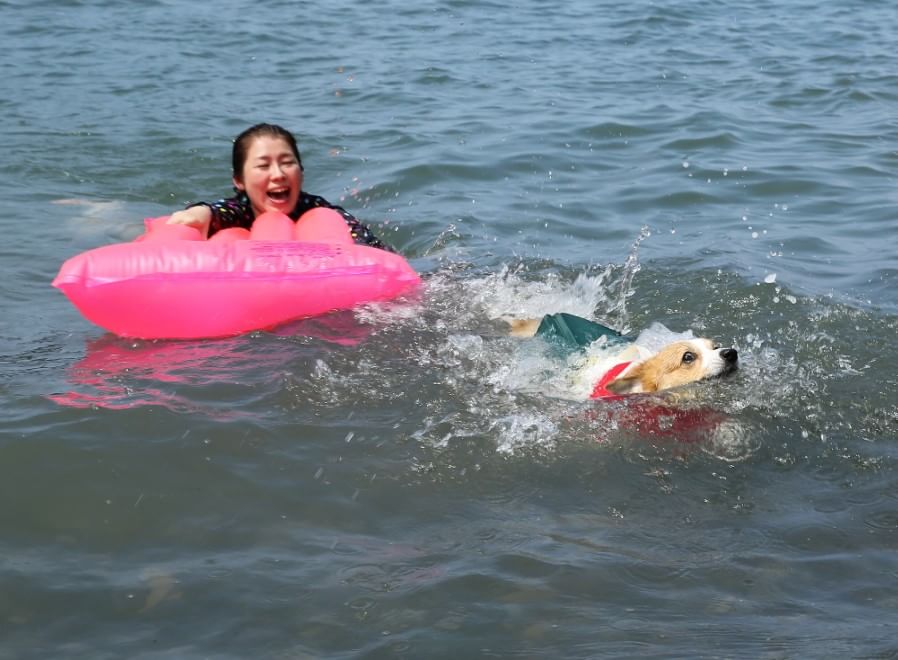 In vacanza con gli animali: le foto dei lettori / 1
