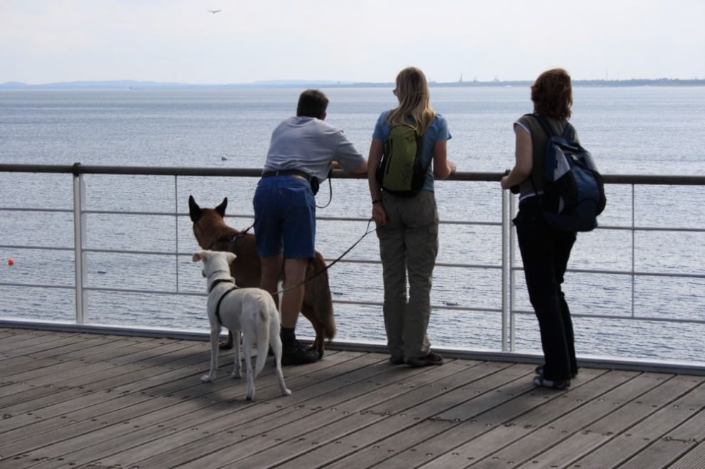 In vacanza con gli animali: le foto dei lettori / 1