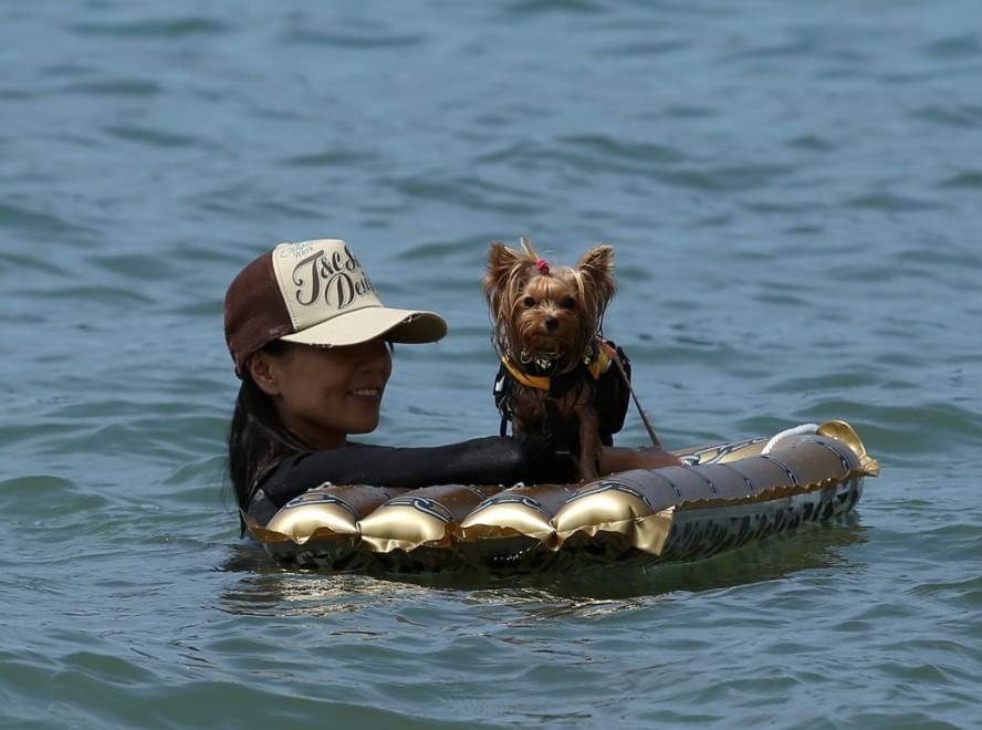 In vacanza con gli animali: le foto dei lettori / 1