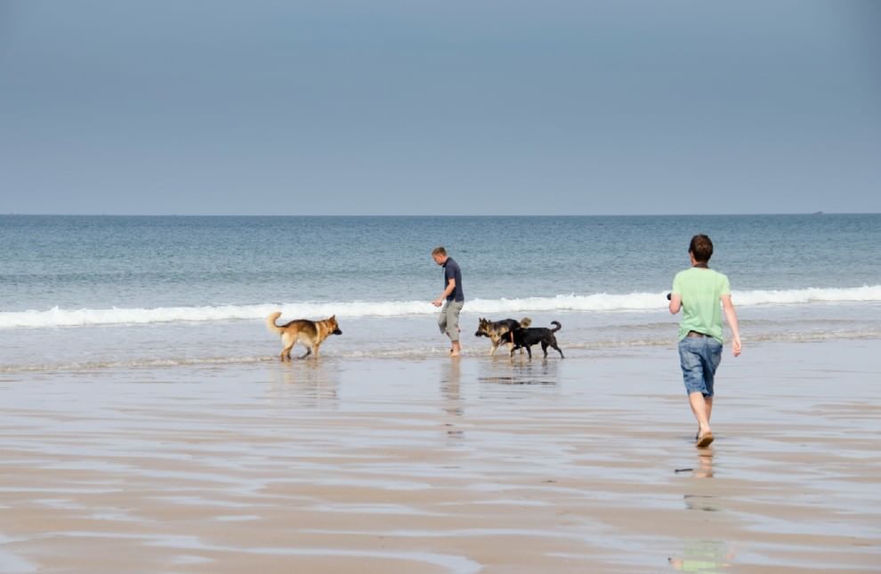In vacanza con gli animali: le foto dei lettori / 1