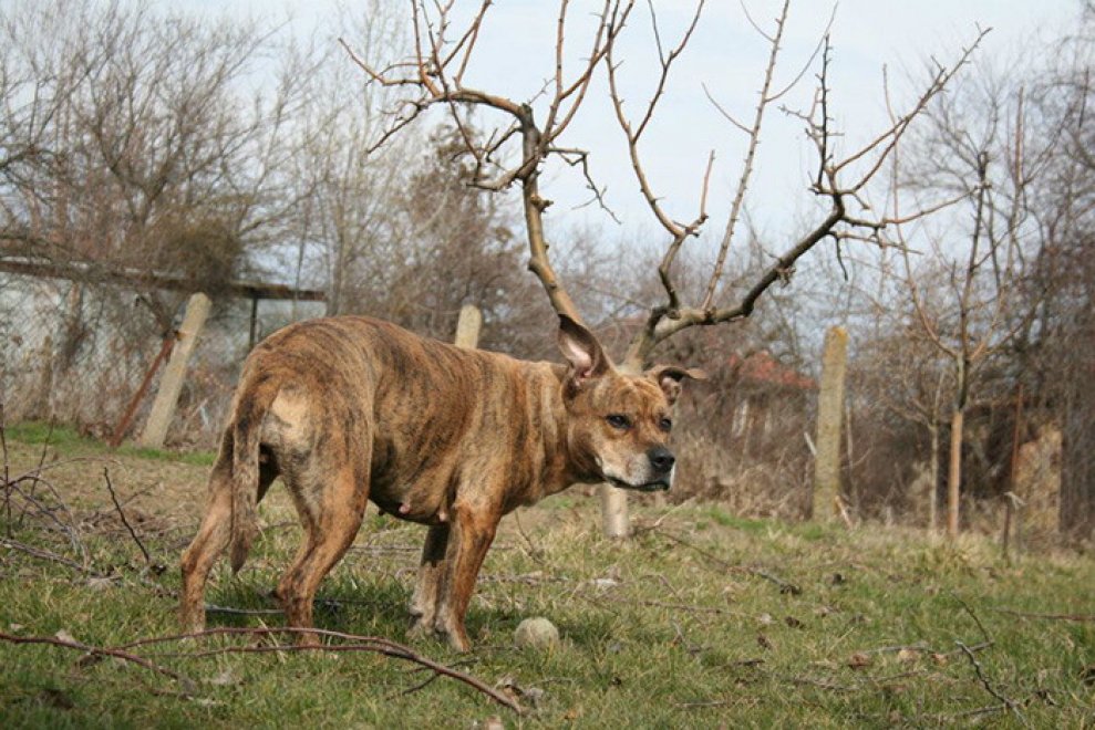 Illusioni e false prospettive: quando la foto inganna