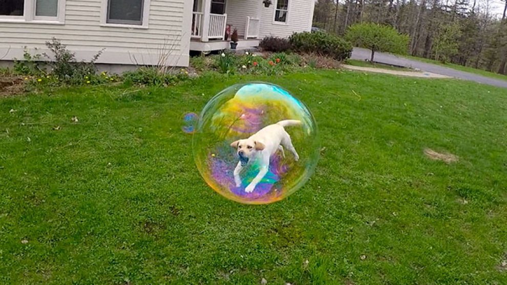 Illusioni e false prospettive: quando la foto inganna
