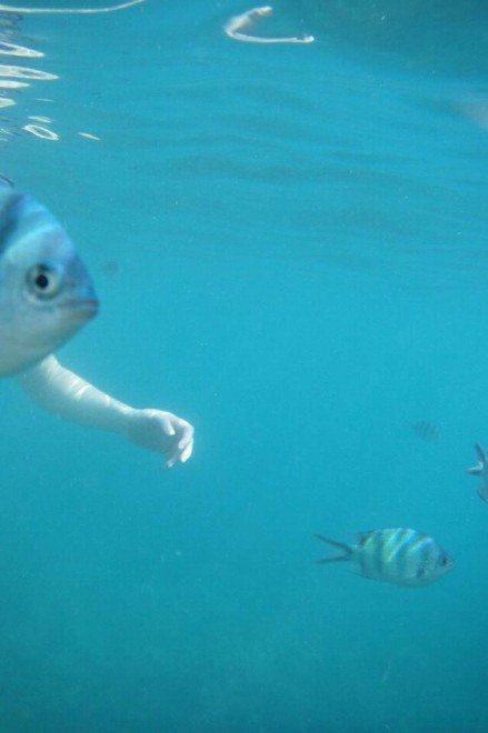 Illusioni e false prospettive: quando la foto inganna