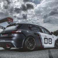 308 Racing Cup