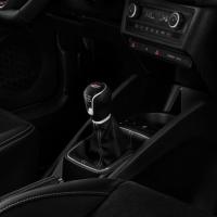 Seat Ibiza Cupra