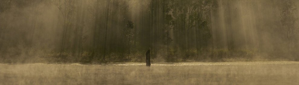Natura selvaggia, le foto premiate dal Nature Conservancy Australia