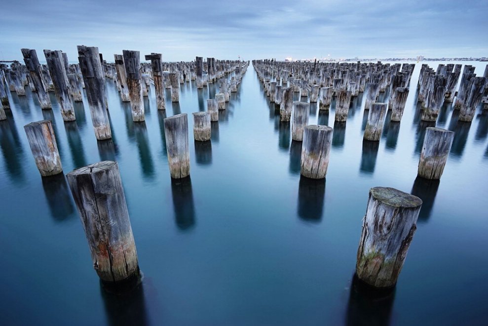 Natura selvaggia, le foto premiate dal Nature Conservancy Australia