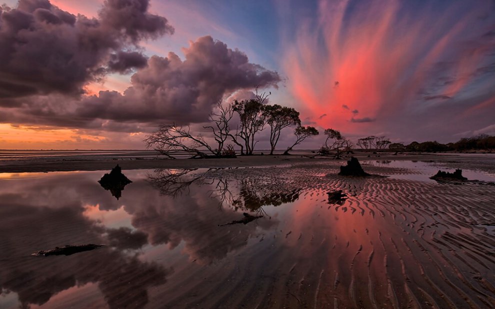 Natura selvaggia, le foto premiate dal Nature Conservancy Australia