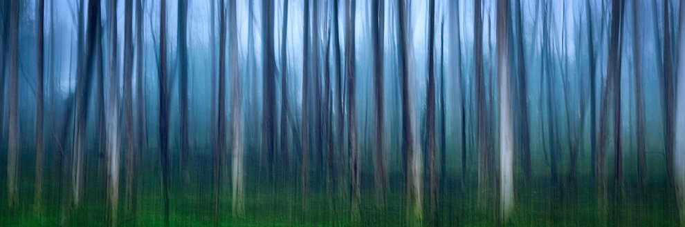 Natura selvaggia, le foto premiate dal Nature Conservancy Australia