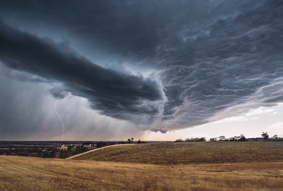 Natura selvaggia, le foto premiate dal Nature Conservancy Australia