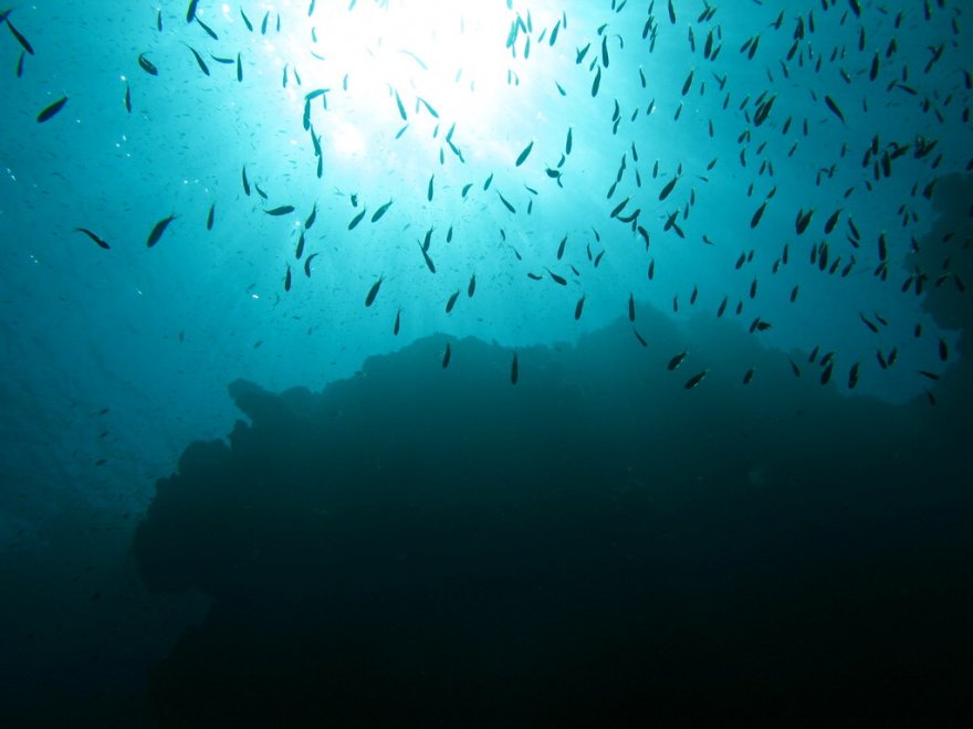 Blue hole, meraviglie degli abissi: le ''voragini'' più impressionanti