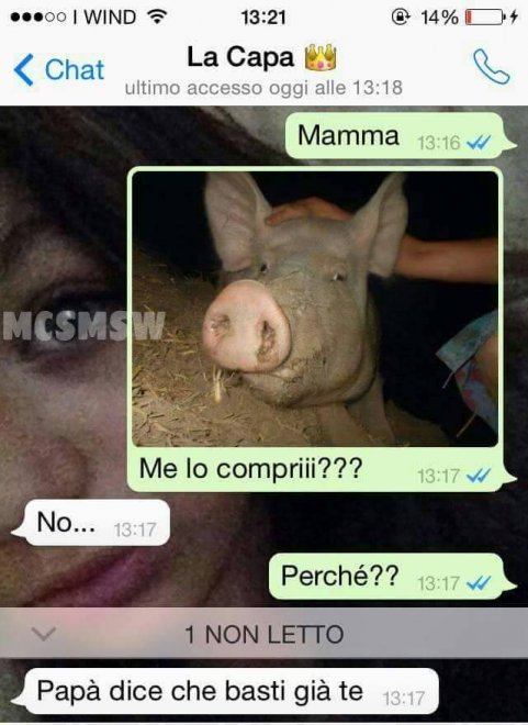 Che disastro i messaggi delle mamme su WhatsApp