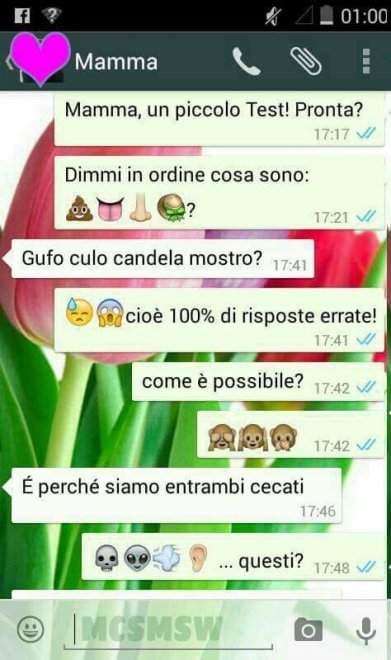 Che disastro i messaggi delle mamme su WhatsApp