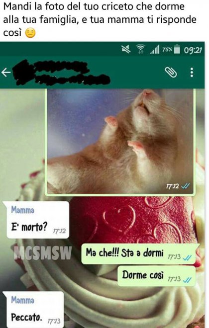 Che disastro i messaggi delle mamme su WhatsApp