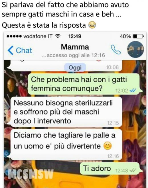 Che disastro i messaggi delle mamme su WhatsApp