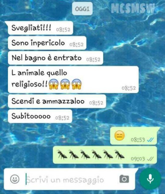 Che disastro i messaggi delle mamme su WhatsApp