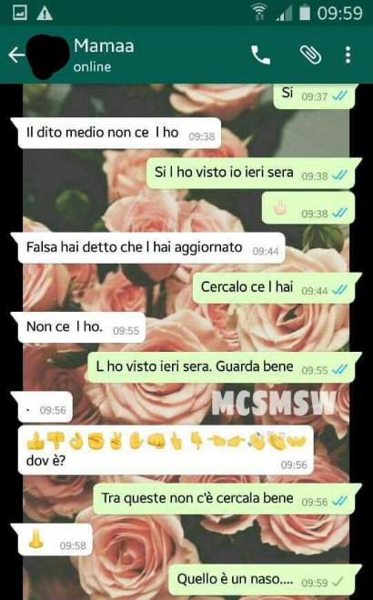 Che disastro i messaggi delle mamme su WhatsApp