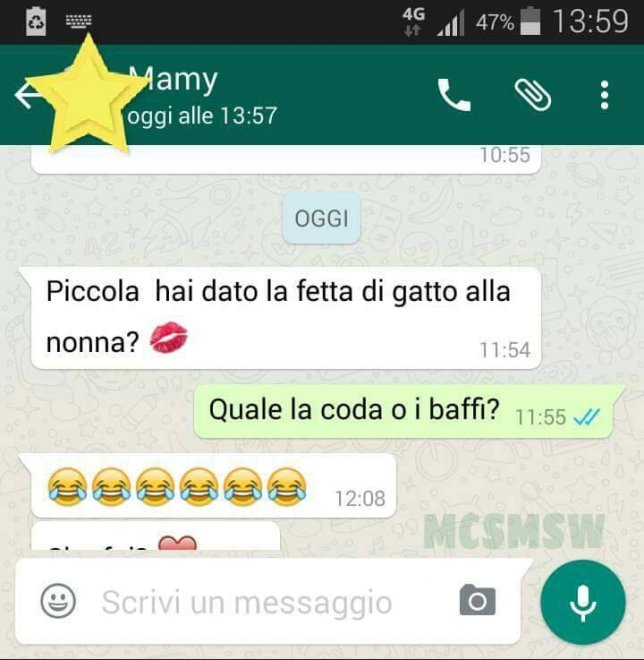 Che disastro i messaggi delle mamme su WhatsApp