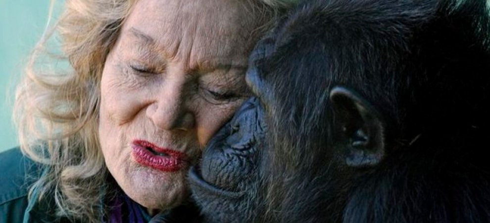 Gli animali più ricchi del mondo 