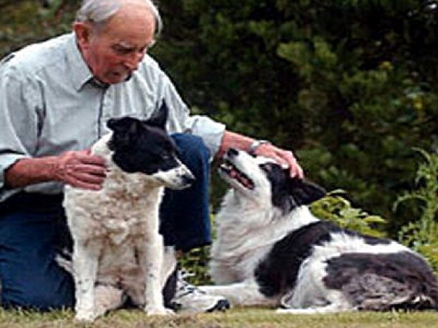 Gli animali più ricchi del mondo 