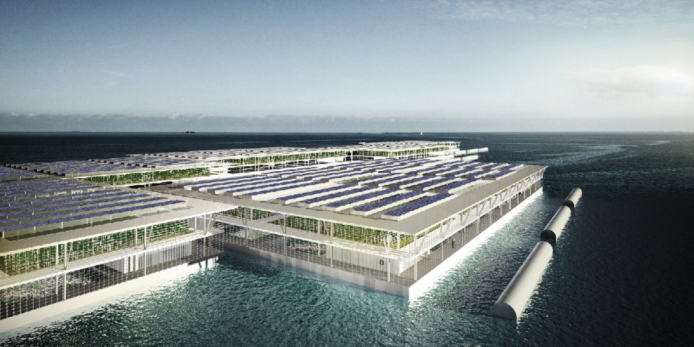 Roof garden, tra progetti futuristici e realtà