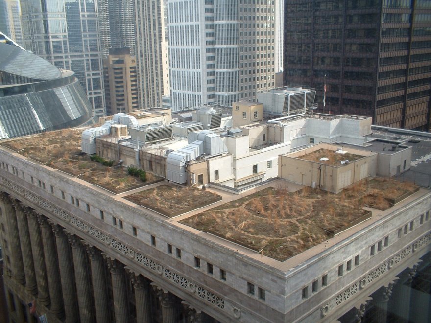 Roof garden, tra progetti futuristici e realtà