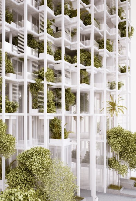 Roof garden, tra progetti futuristici e realtà