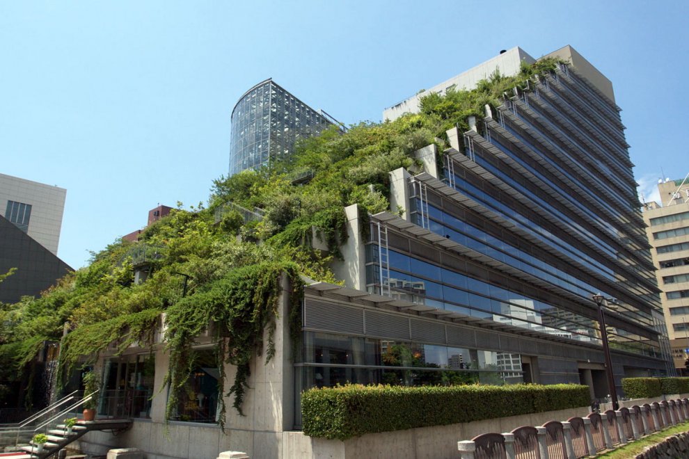 Roof garden, tra progetti futuristici e realtà