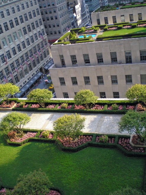 Roof garden, tra progetti futuristici e realtà