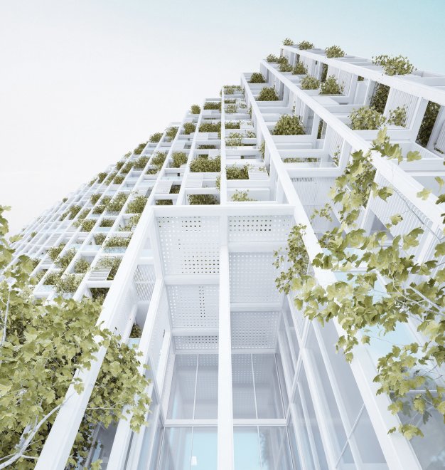 Roof garden, tra progetti futuristici e realtà