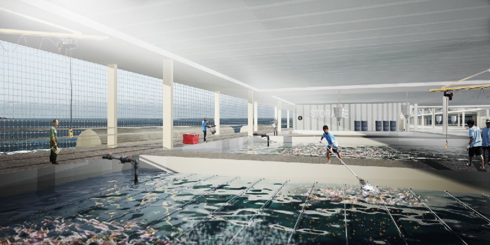 Roof garden, tra progetti futuristici e realtà
