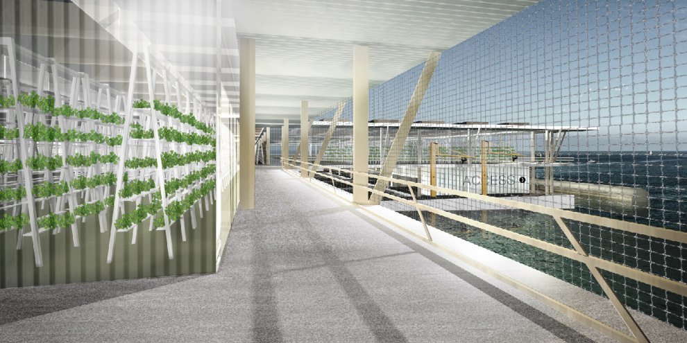 Roof garden, tra progetti futuristici e realtà