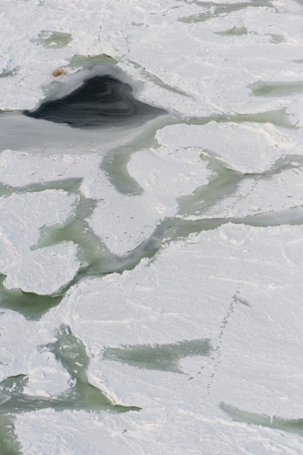 Wwf, le conseguenze del "Ghiaccio bollente" sul nostro pianeta