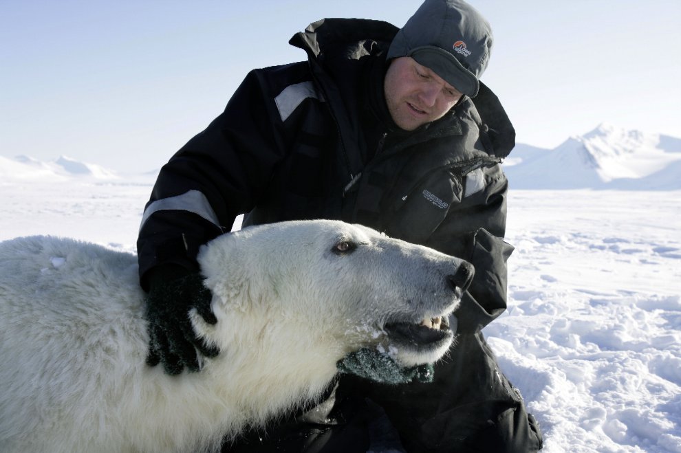 Wwf, le conseguenze del "Ghiaccio bollente" sul nostro pianeta